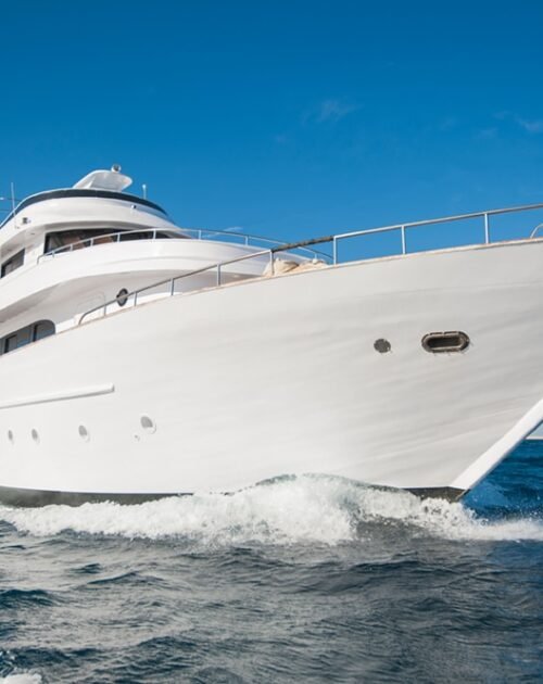 Deck & Hull